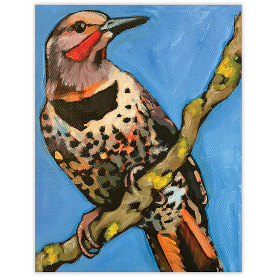 Northern Flicker Blank Notecard