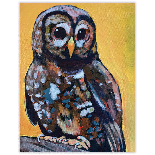 Spotted Owl Blank Notecard
