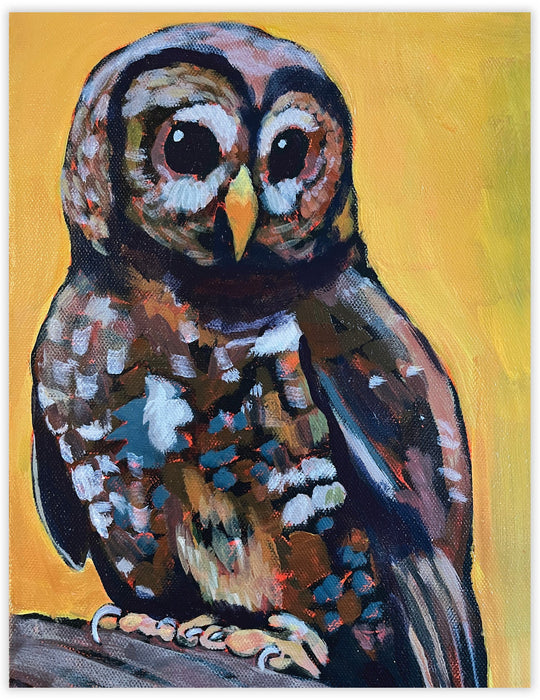 Spotted Owl Blank Notecard