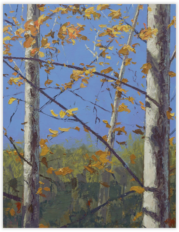 Autumn Trees Blank Notecard