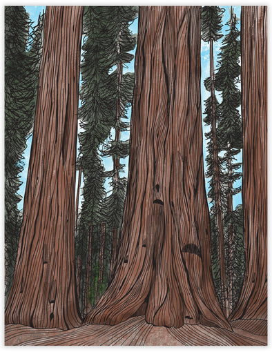 Sequoia Everyday Note Card