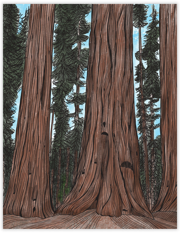 Sequoia Everyday Note Card